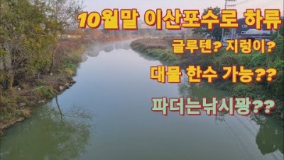 서울근교 고양 일산 이산포수로 붕어낚시, 무료 노지 붕어 낚시터