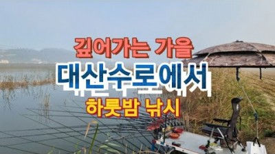 서산 대호만 대산수로 민물 붕어낚시 손맛터 조황 정보