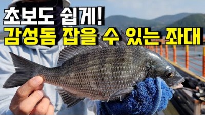 통영 좌대낚시, 통영 중화마을 감성돔 좌대낚시, 통영중화좌대낚시터 카고채비 감성돔낚시 조황정보