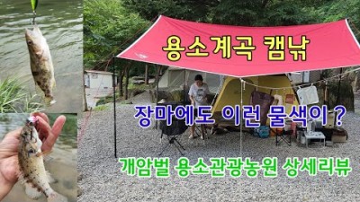 홍천 용소계곡 용소관광농원 캠핑장 오지같은 캠핑장 꺽지낚시 쏘가리낚시 캠낚