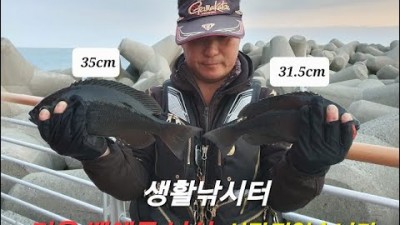 울산 서생면 잿골방파제(송정마을 방파제) 벵에돔낚시, 도보권 벵에돔 생활낚시터, 벵에돔낚시 조황정보