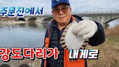 강원도 주문진 기수역 강도다리 원투낚시, 주문진 바다낚시, 강릉 강도다리낚시 조황정보