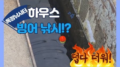 경기도 빙어낚시 안성 독정낚시터 빙어낚시, 국내 최초 하우스 빙어낚시터, 빙어튀김 독정낚시터 빙어낚시 입어료 및 정보