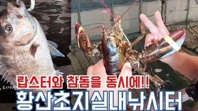 [삼척김씨TV]랍스터와 물고기를 동시에!!!황산초지실내바다낚시터 라이브 요약본입니다.^^(feat.황산초지실내바다낚시터) #랍스터 #낚시 #참돔 #도다리