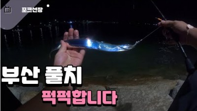 부산 기장 풀치낚시 포인트 도보권 풀치 루어낚시 바다낚시포인트 추천