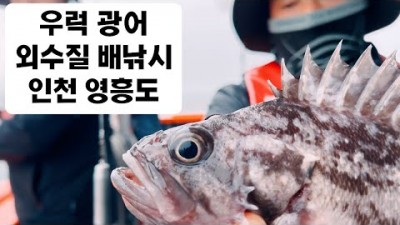 인천 영흥도 우럭 광어 외수질 배낚시 선상낚시 바다낚시 조과 조황 및 채비정보
