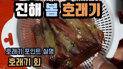 진해 방파제 봄호래기 낚시 /호래기 포인트 설명/호래기 회