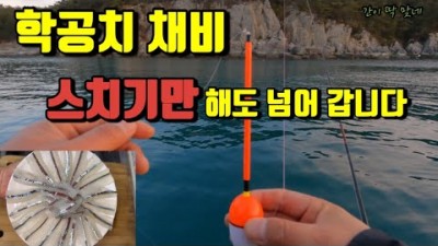 통영 풍화리 태풍레저 선외기 학꽁치 낚시 조황 및 채비 정보, 학꽁치 회 뜨는법 소개