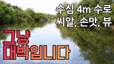 철원 임진강 수로 대물 붕어낚시 노지 무료 낚시터 조황 정보
