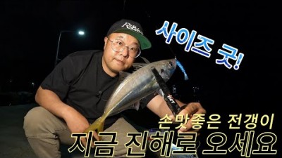경남 진해 전갱이 아징 루어낚시 포인트