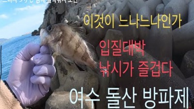 여수 돌산 방파제 도보권 볼락낚시 입질대박 포인트공개