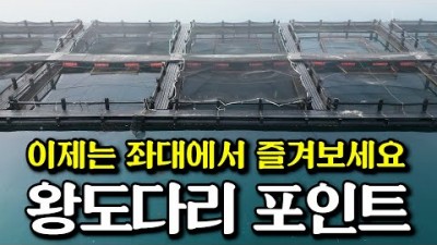 통영 노대도 탄항마을 바다 좌대낚시, 도다리낚시 홍합 밑밥으로 엄청난 조과 마릿수, 통영 바다좌대낚시 도다리낚시 조황정보