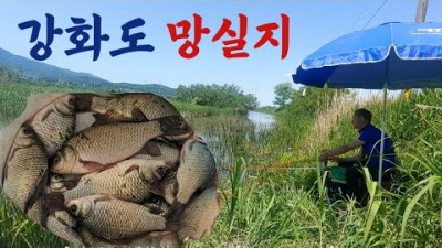 서울근교 강화도 망실지 마릿수 붕어낚시 포인트 수도권 무료 노지 민물낚시 붕어낚시 포인트 추천