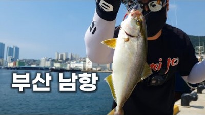 부산 잿방어 루어낚시 자갈치시장 도보권에서 쉽게 즐길 수 있는 손맛 최고의 낚시!