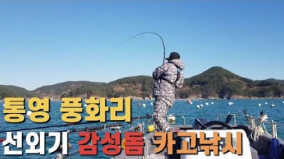 통영 풍화리 선외기 감성돔낚시, 미역양식장 바다낚시포인트, 통영태풍레저, 통영 감성돔 카고낚시 조황정보