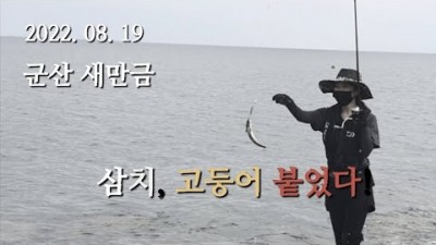 군산 새만금방조제 삼치낚시 고등어낚시 피팅타임 손맛