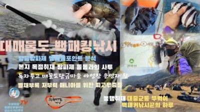 통영 매물도 돌돔낚시, 당금항 방파제 돌돔 찌낚시, 전갱이낚시, 백패킹, 바다낚시 조황 정보