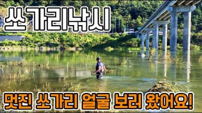 충북 단양 쏘가리낚시, 남한강 가대리 쏘가리 루어낚시 정보