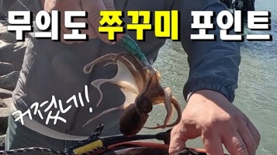 서울근교 인천 무의도 쭈꾸미낚시 포인트 채비정보 조황정보