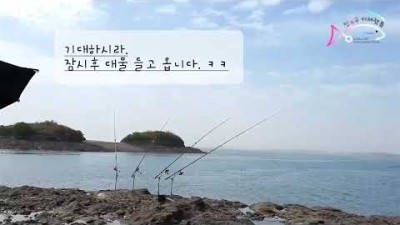 홍성 죽도 갯바위 감성돔 원투낚시 감성돔낚시 바다낚시 5짜감성돔 서해 바다낚시 조과조황 채비정보
