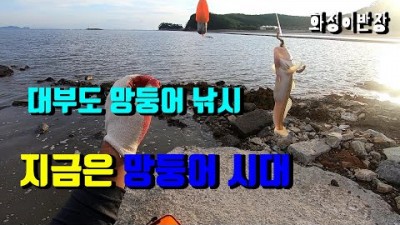 서울근교 대부도 망둥어낚시, 누구나 쉽게 잡을 수 있는 고래뿌리선착장 망둥어낚시