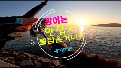 충남 태안 학암포해수욕장 선착장 광어 루어낚시 포인트, 서해 도보권 광어낚시포인트 추천