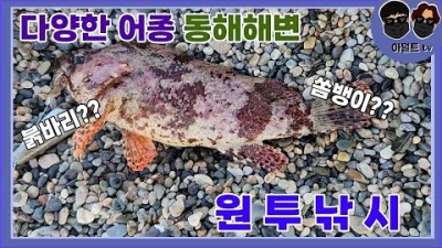 경주 나아해변 원투낚시 포인트 붉바리 쥐치 다양한 어종 손맛을 볼수있는 동해안 원투낚시포인트