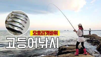 [핵빵디TV] 강원도 고성 | 대박 포인트! 초보자도 가능한 고등어 갯바위 찌낚시 (feat.멸치떼 줍줍!)