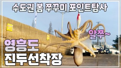 영흥도 진두방파제 쭈꾸미낚시 루어낚시 수도권 워킹루어낚시 가볼만한곳