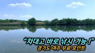 차대고 바로 낚시, 경기도 여주권 무료 낚시포인트를 소개합니다. 민물낚시/붕어낚시/여주민물낚시