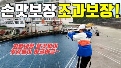 부산 감천항 동방파제 원투낚시 전갱이낚시 찌낚시 민장대낚시 전갱이회뜨는법 부산바다낚시 조과조황 채비정보