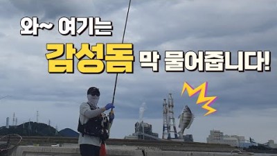 경남 삼천포 감성돔낚시 도보권 방파제 감성돔 포인트 채비정보 조황정보